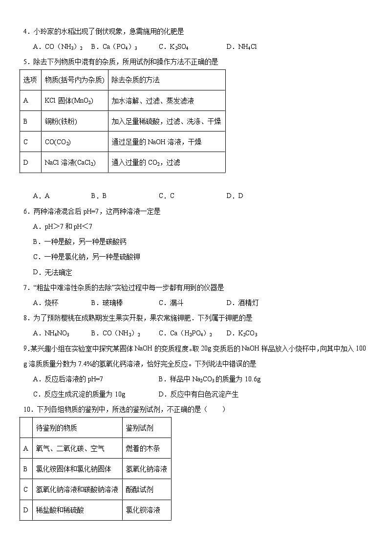 2026年中考化学人教版一轮复习题--盐化肥第2页
