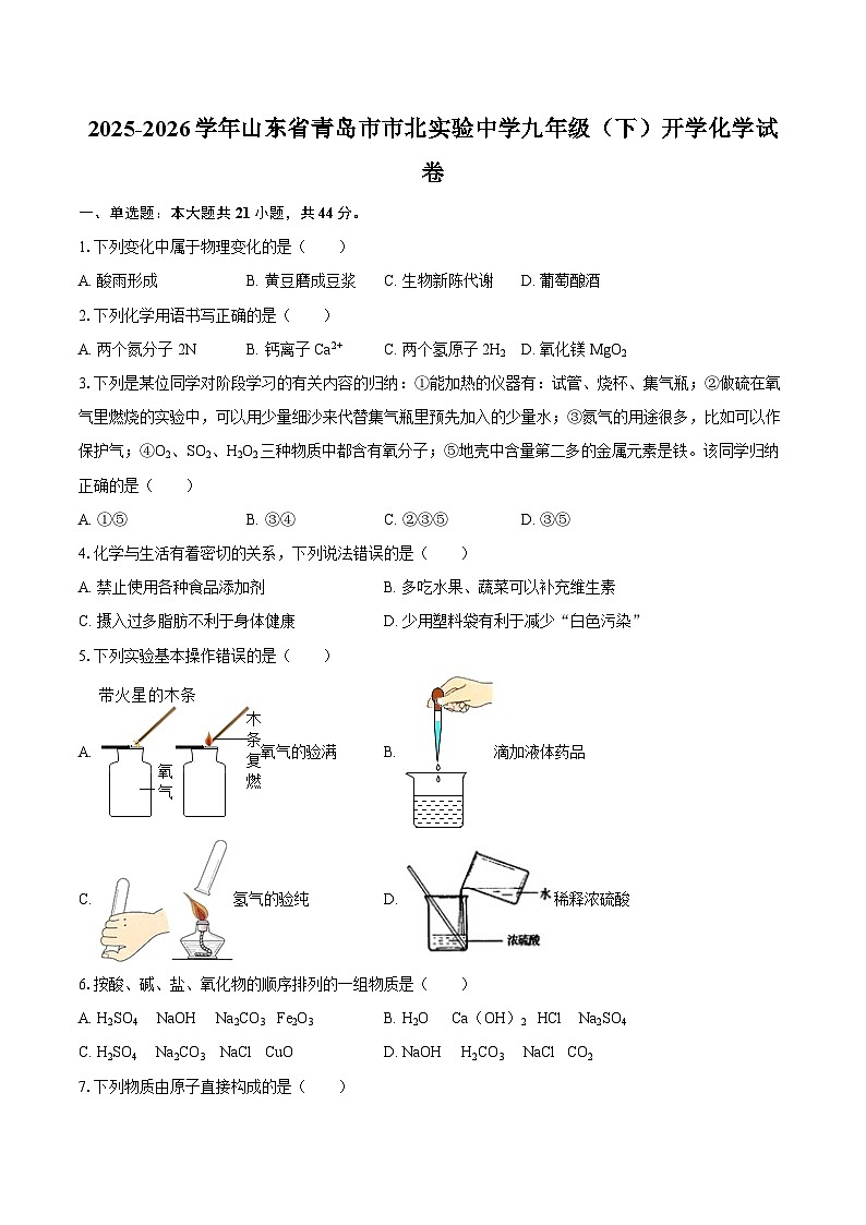 2025-2026学年山东省青岛市市北实验中学九年级（下）开学化学试卷-自定义类型第1页