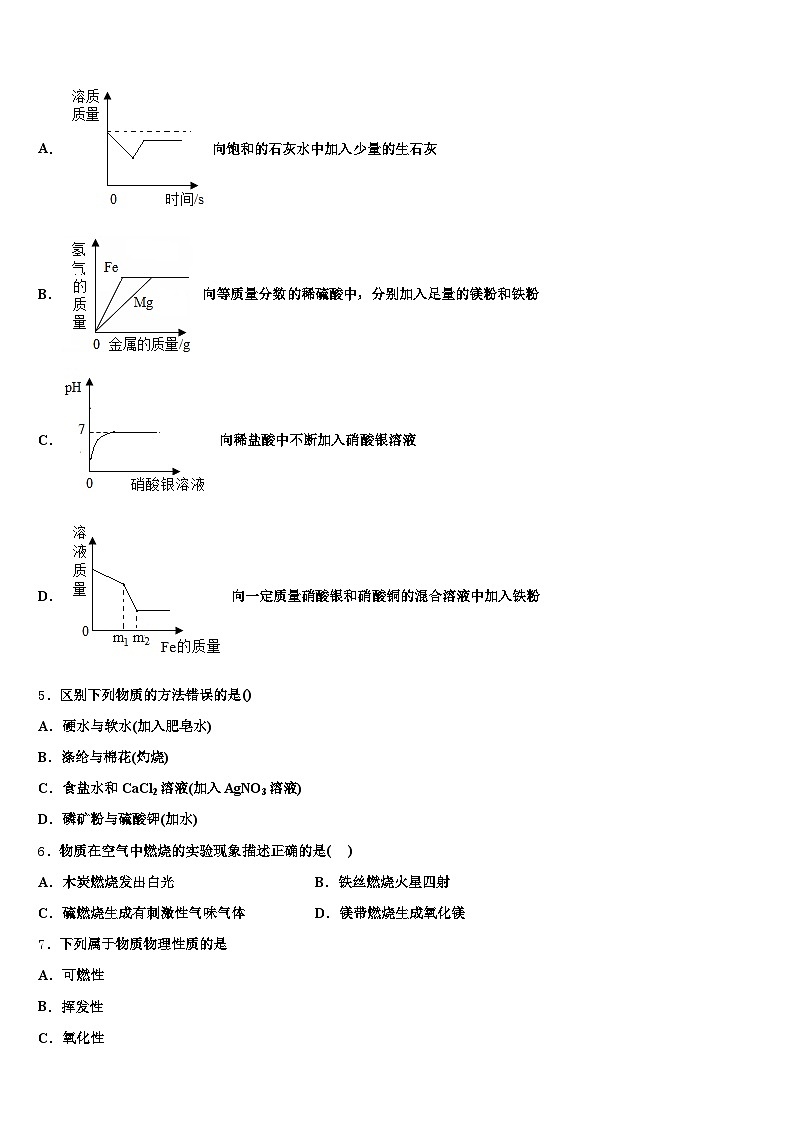 山东省聊城市2025-2026学年中考化学适应性模拟试题（含答案解析）第2页