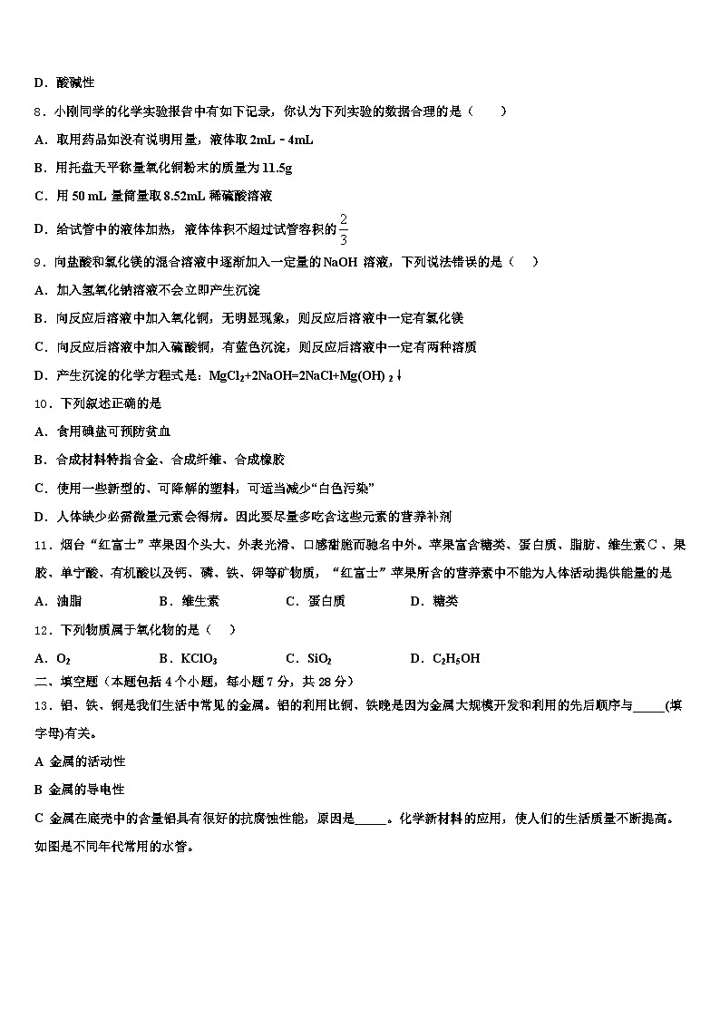 山东省聊城市2025-2026学年中考化学适应性模拟试题（含答案解析）第3页