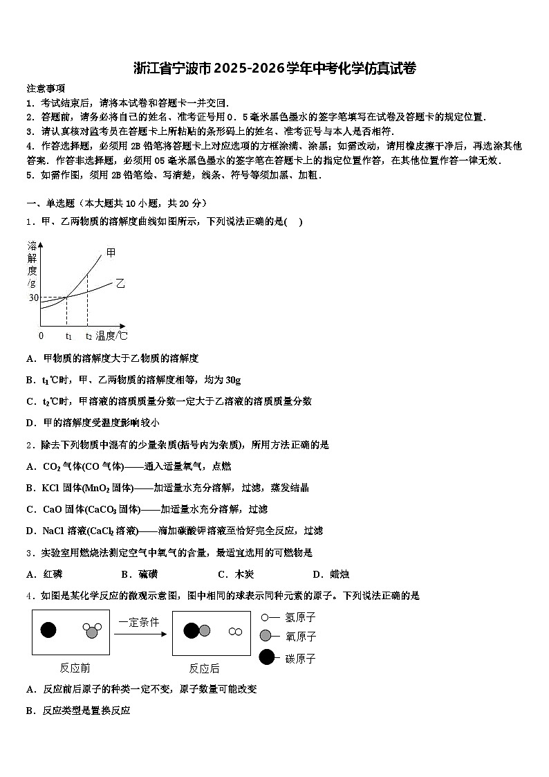 浙江省宁波市2025-2026学年中考化学仿真试卷（含答案解析）第1页