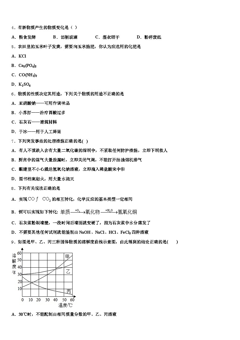 聊城市2025-2026学年中考化学全真模拟试题（含答案解析）第2页