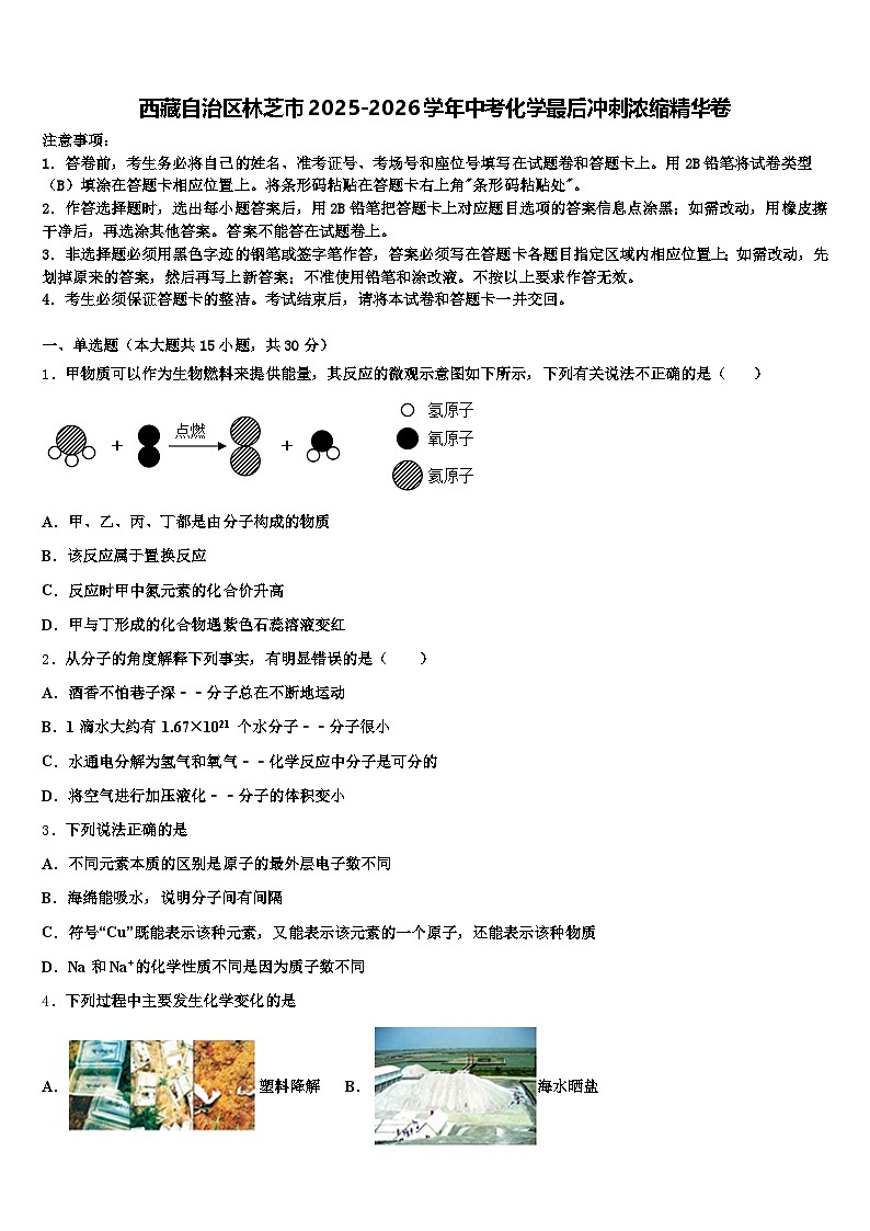 西藏自治区林芝市2025-2026学年中考化学最后冲刺浓缩精华卷（含答案解析）第1页