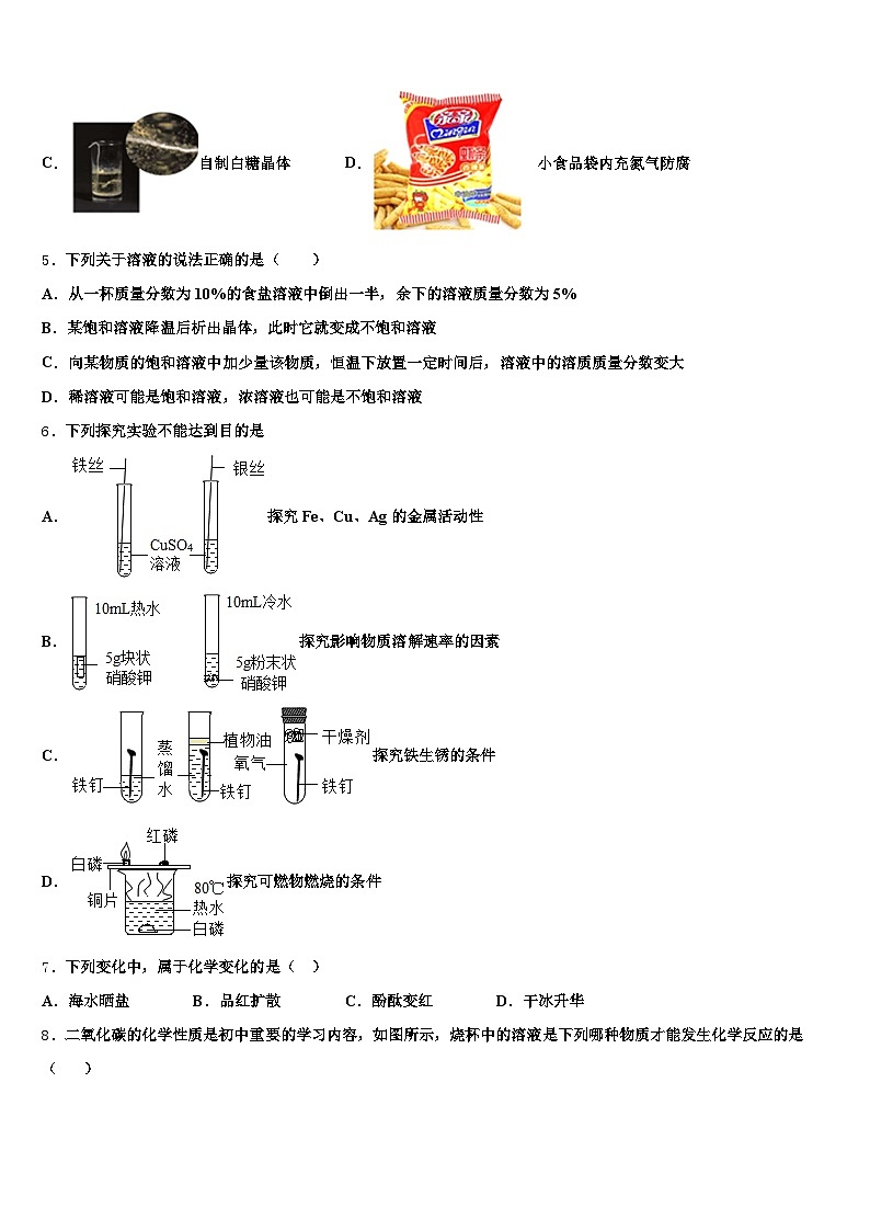 西藏自治区林芝市2025-2026学年中考化学最后冲刺浓缩精华卷（含答案解析）第2页