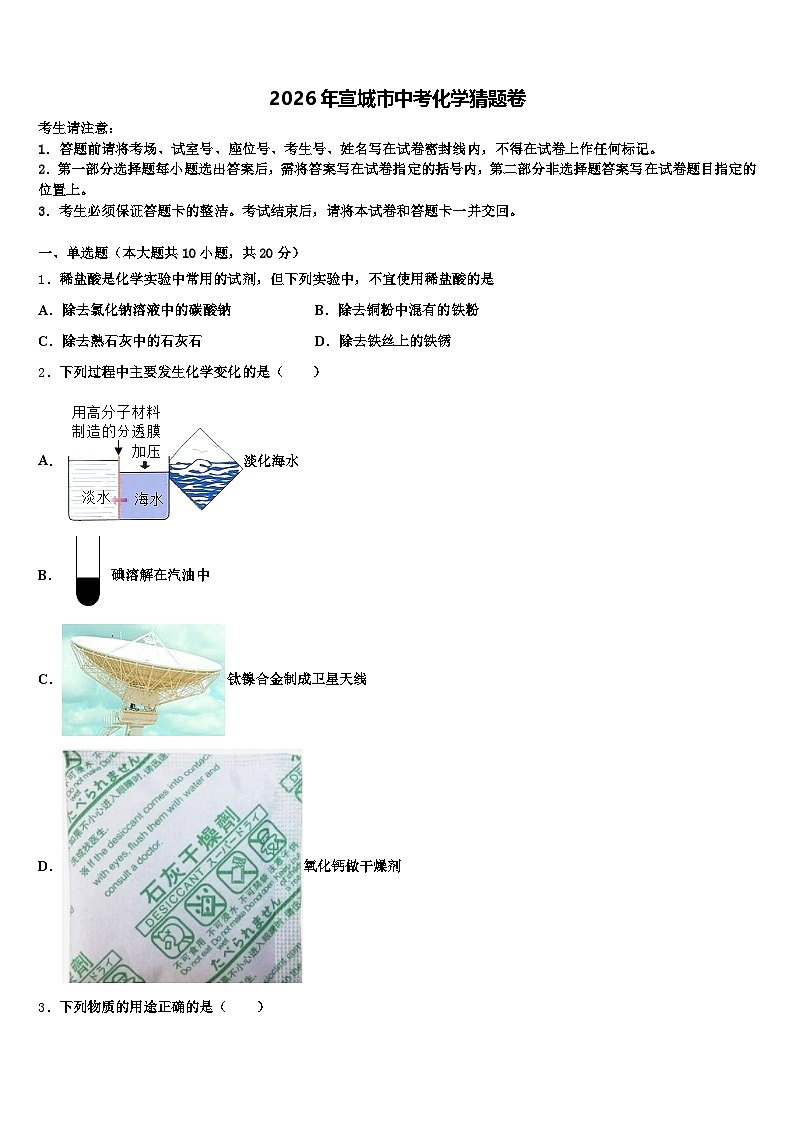 2026年宣城市中考化学猜题卷（含答案解析）第1页