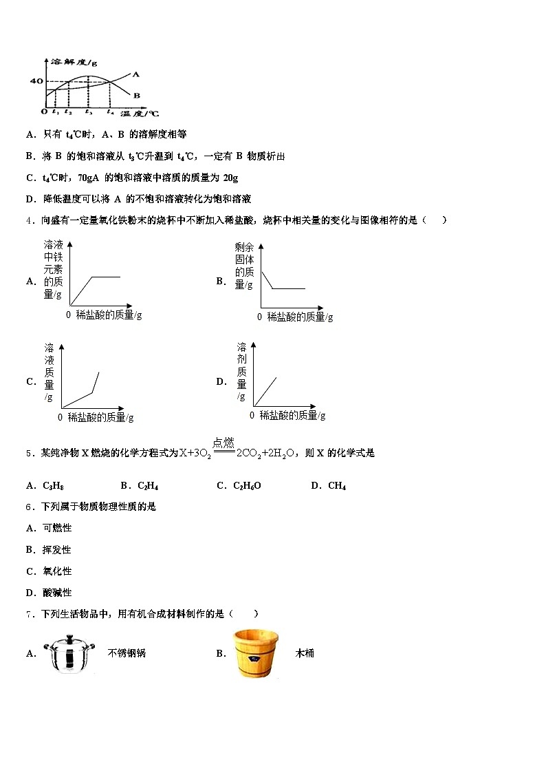 四川省2025-2026学年中考冲刺卷化学试题（含答案解析）第2页