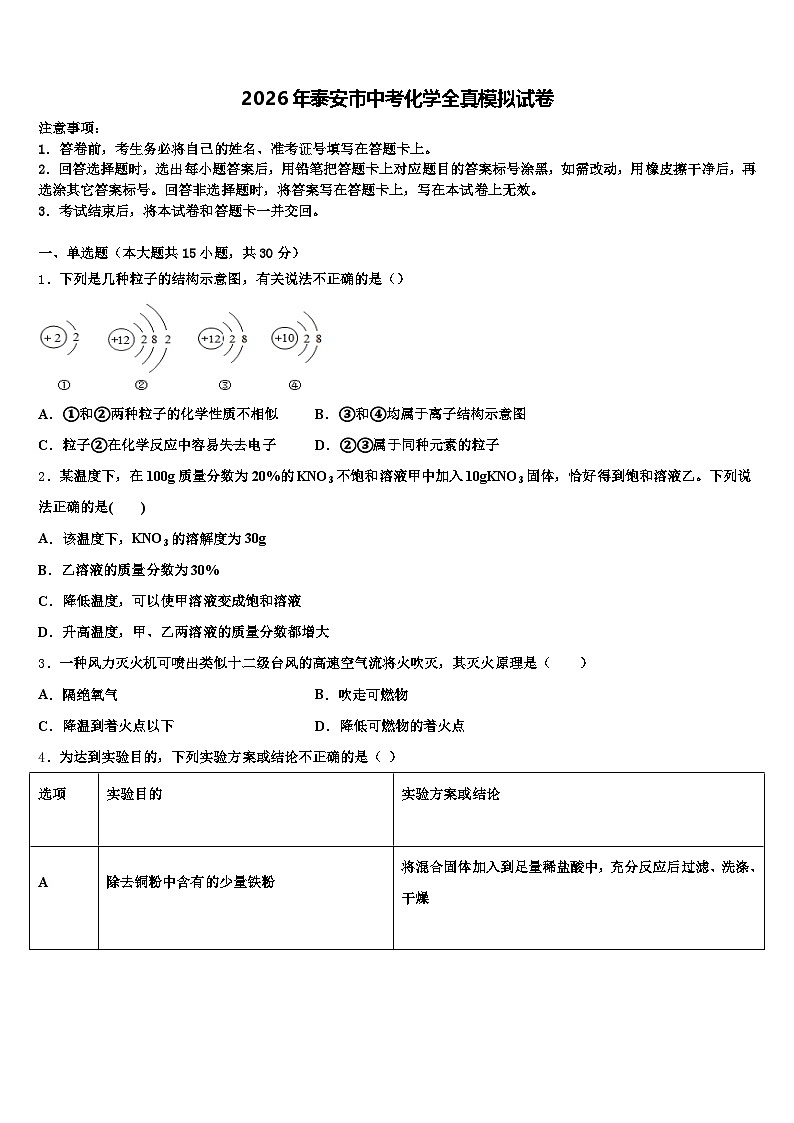 2026年泰安市中考化学全真模拟试卷（含答案解析）第1页