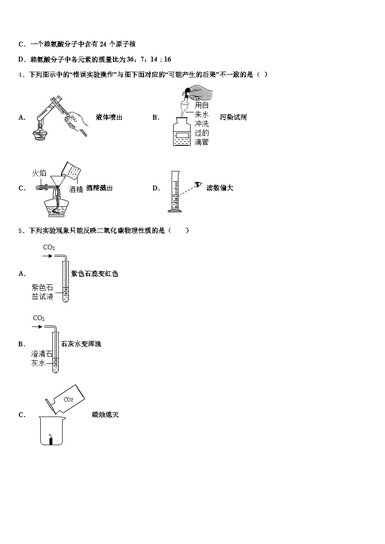2026届安顺市中考化学对点突破模拟试卷（含答案解析）第2页