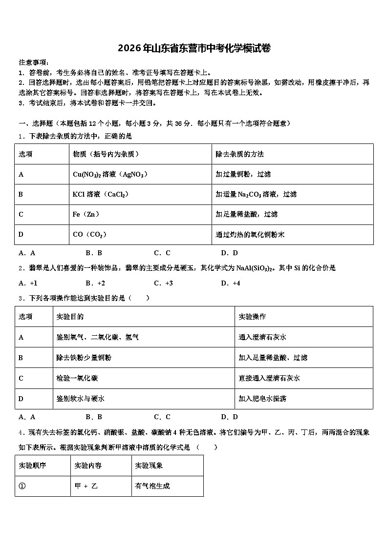 2026年山东省东营市中考化学模试卷（含答案解析）第1页