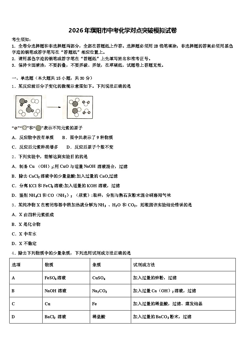 2026年濮阳市中考化学对点突破模拟试卷（含答案解析）第1页