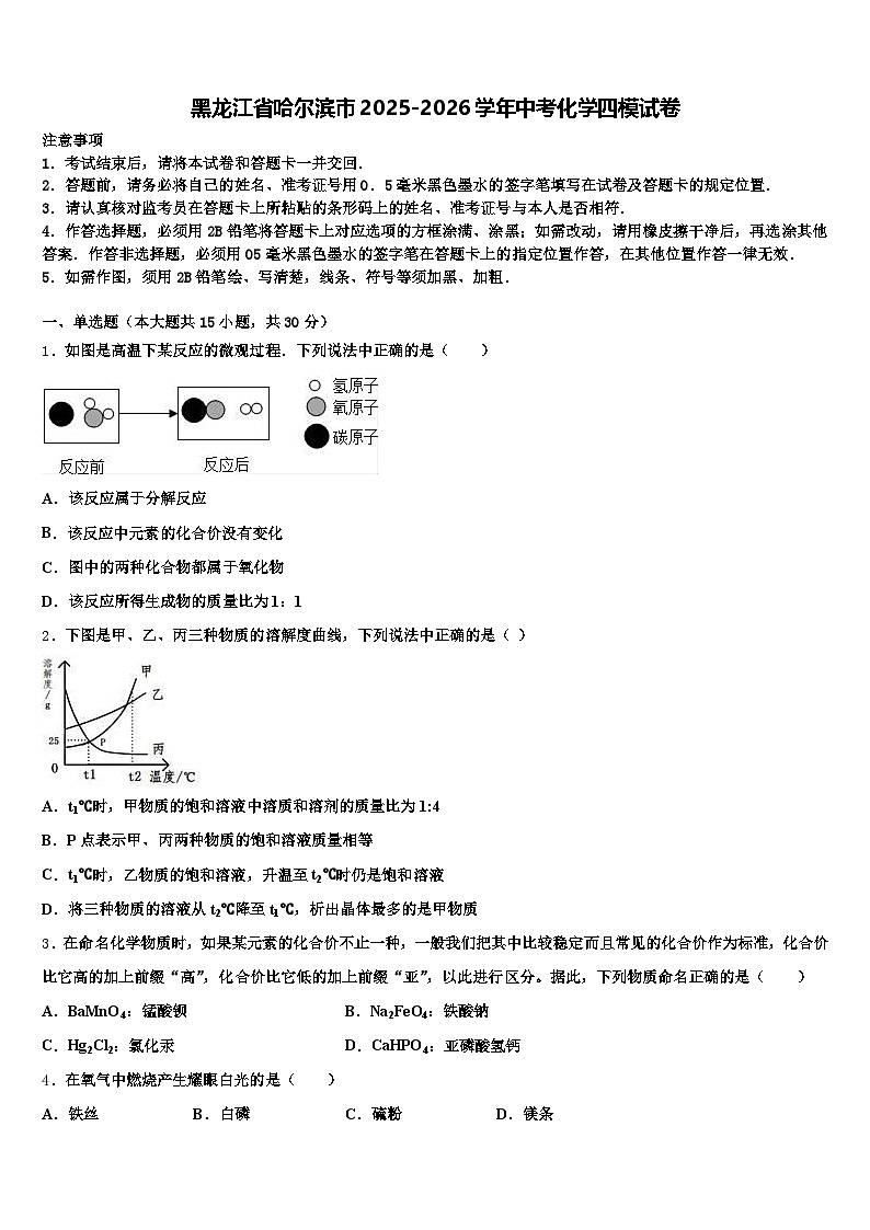 黑龙江省哈尔滨市2025-2026学年中考化学四模试卷（含答案解析）第1页