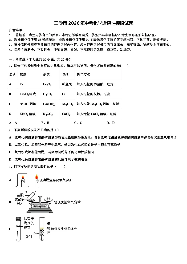三沙市2026年中考化学适应性模拟试题（含答案解析）第1页