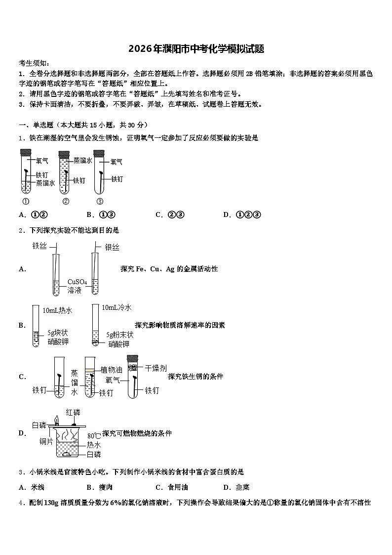 2026年濮阳市中考化学模拟试题（含答案解析）第1页