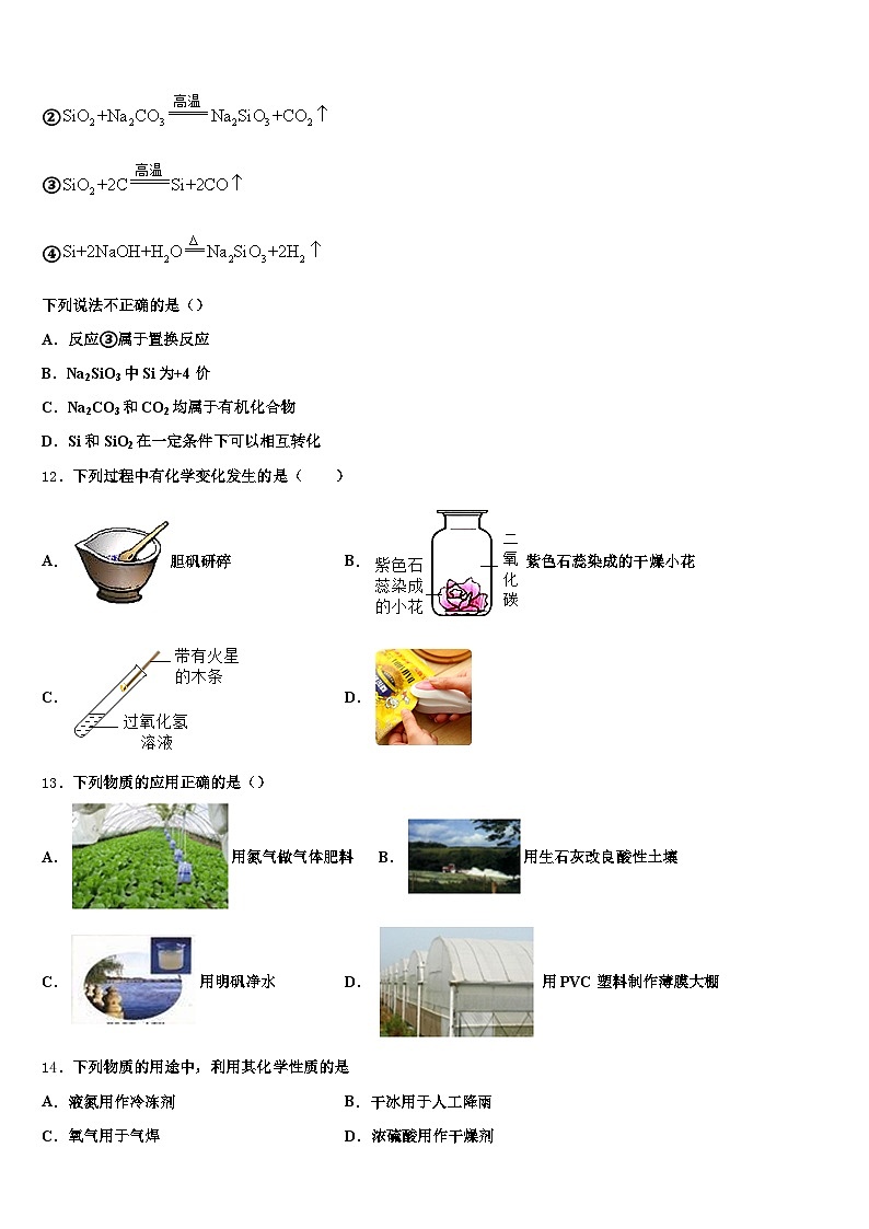 2026届益阳市中考四模化学试题（含答案解析）第3页