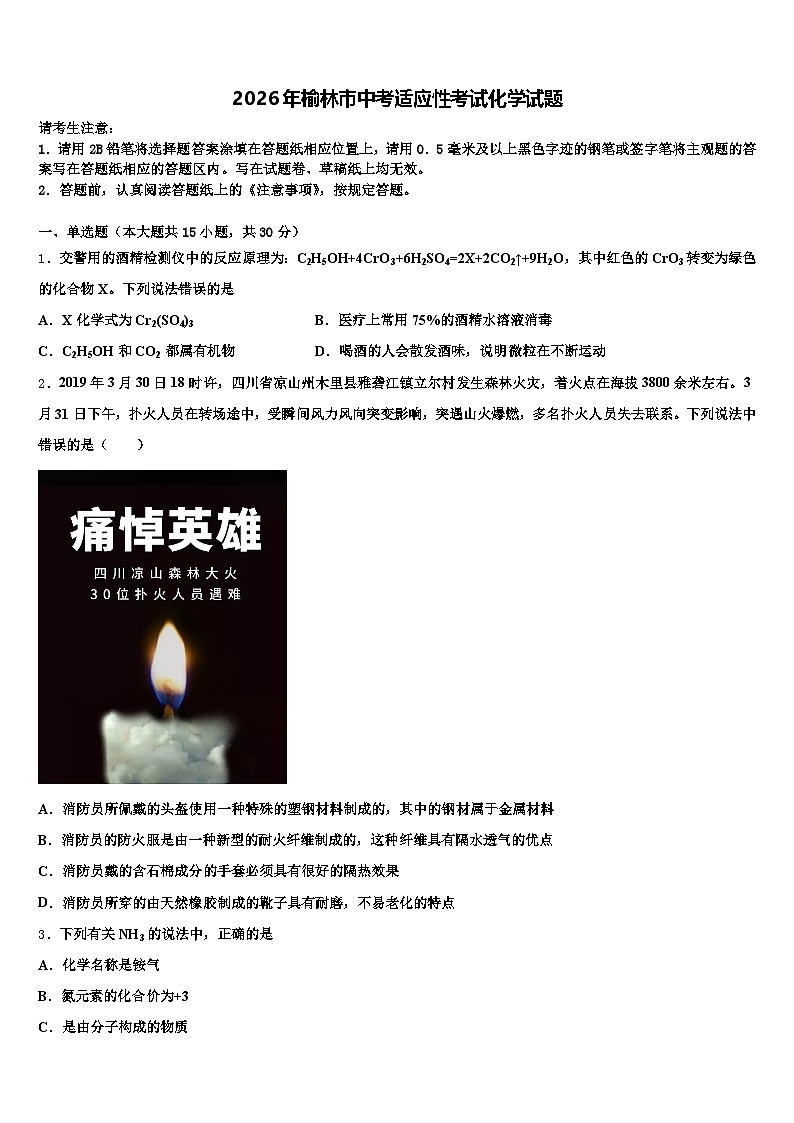 2026年榆林市中考适应性考试化学试题（含答案解析）第1页