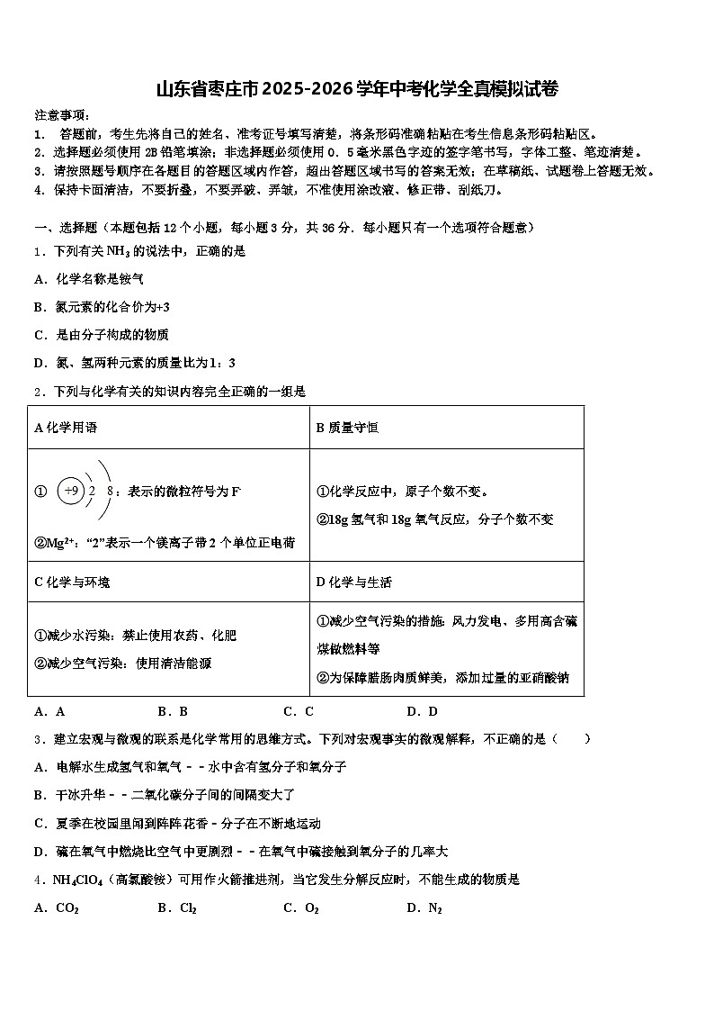 山东省枣庄市2025-2026学年中考化学全真模拟试卷（含答案解析）第1页