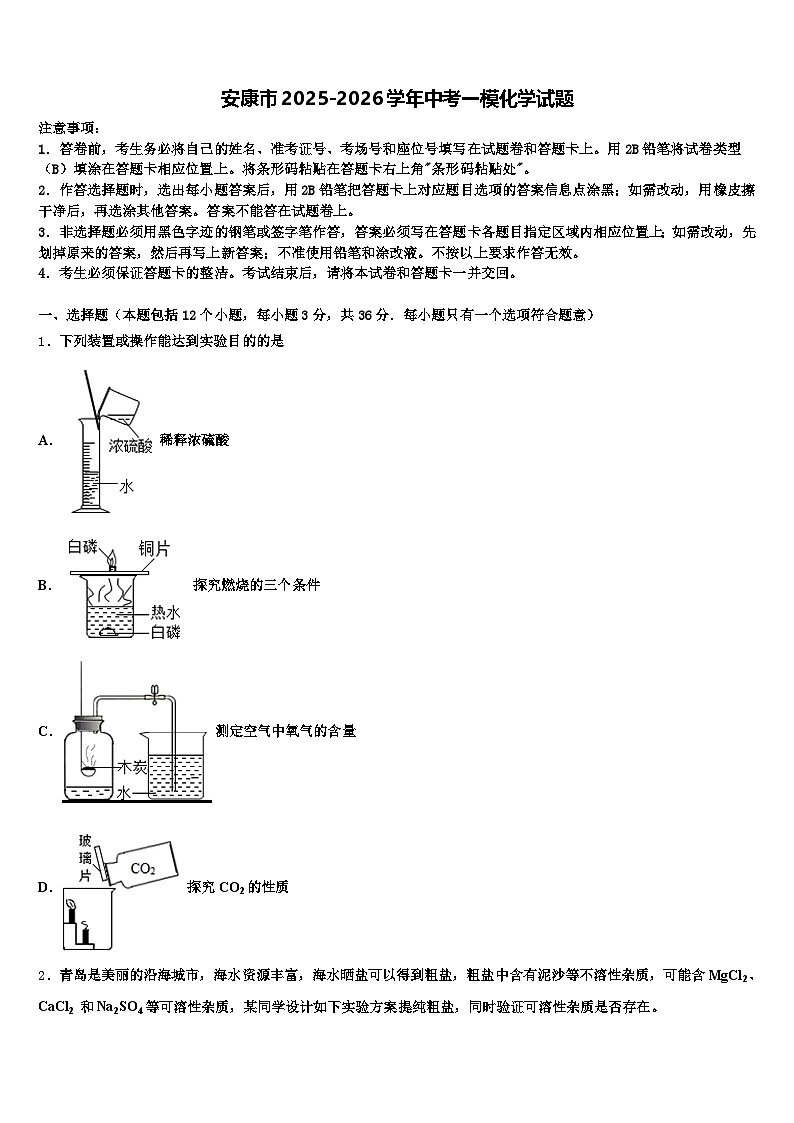 安康市2025-2026学年中考一模化学试题（含答案解析）第1页