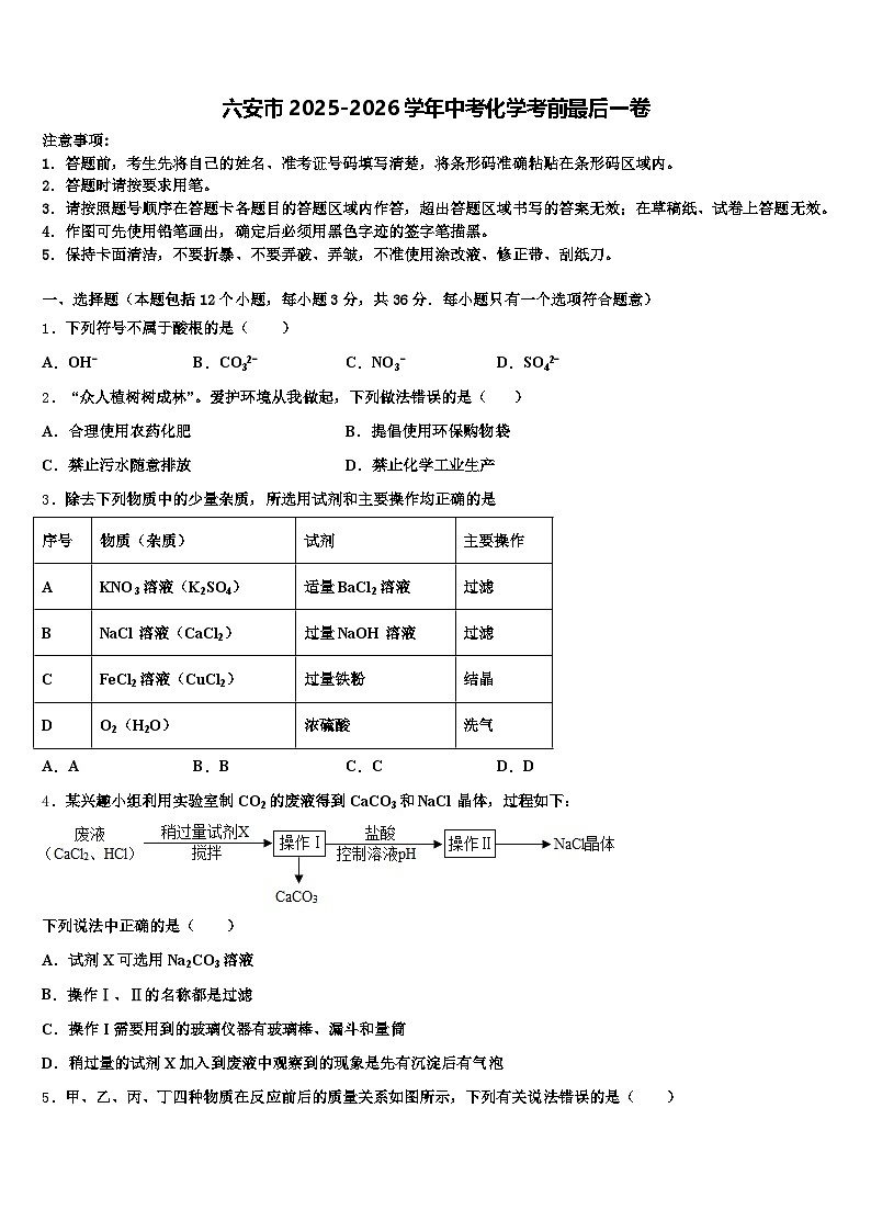 六安市2025-2026学年中考化学考前最后一卷（含答案解析）第1页