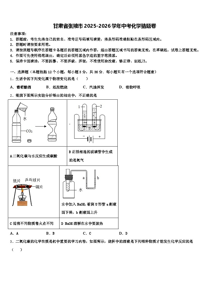 甘肃省张掖市2025-2026学年中考化学猜题卷（含答案解析）第1页