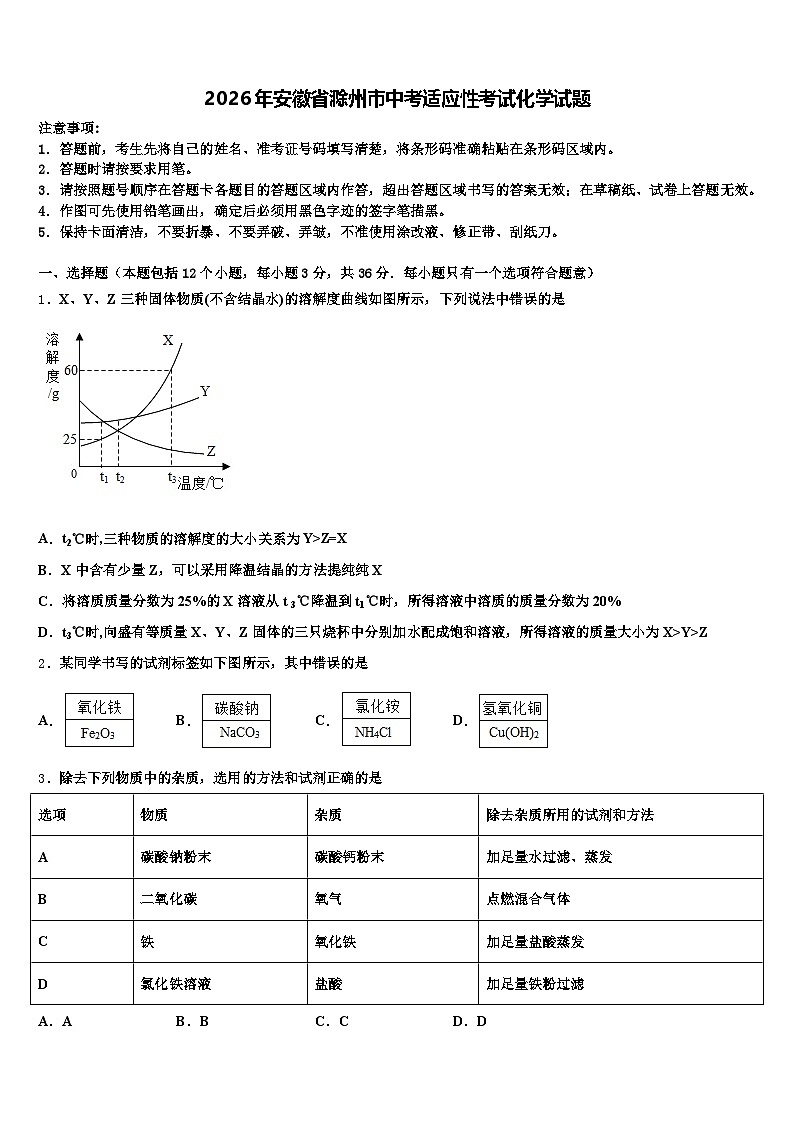 2026年安徽省滁州市中考适应性考试化学试题（含答案解析）第1页