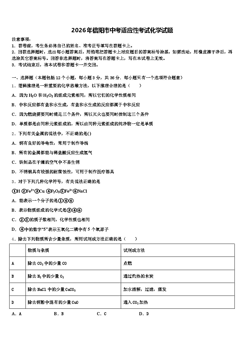 2026年信阳市中考适应性考试化学试题（含答案解析）第1页