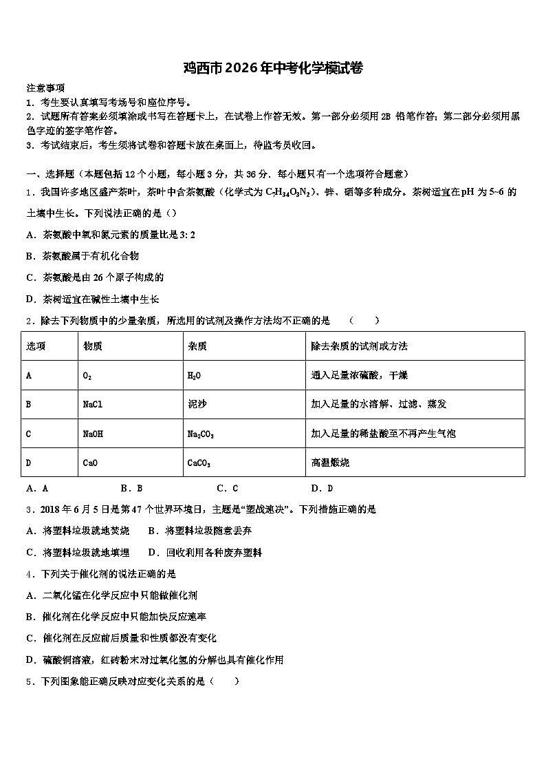 鸡西市2026年中考化学模试卷（含答案解析）第1页