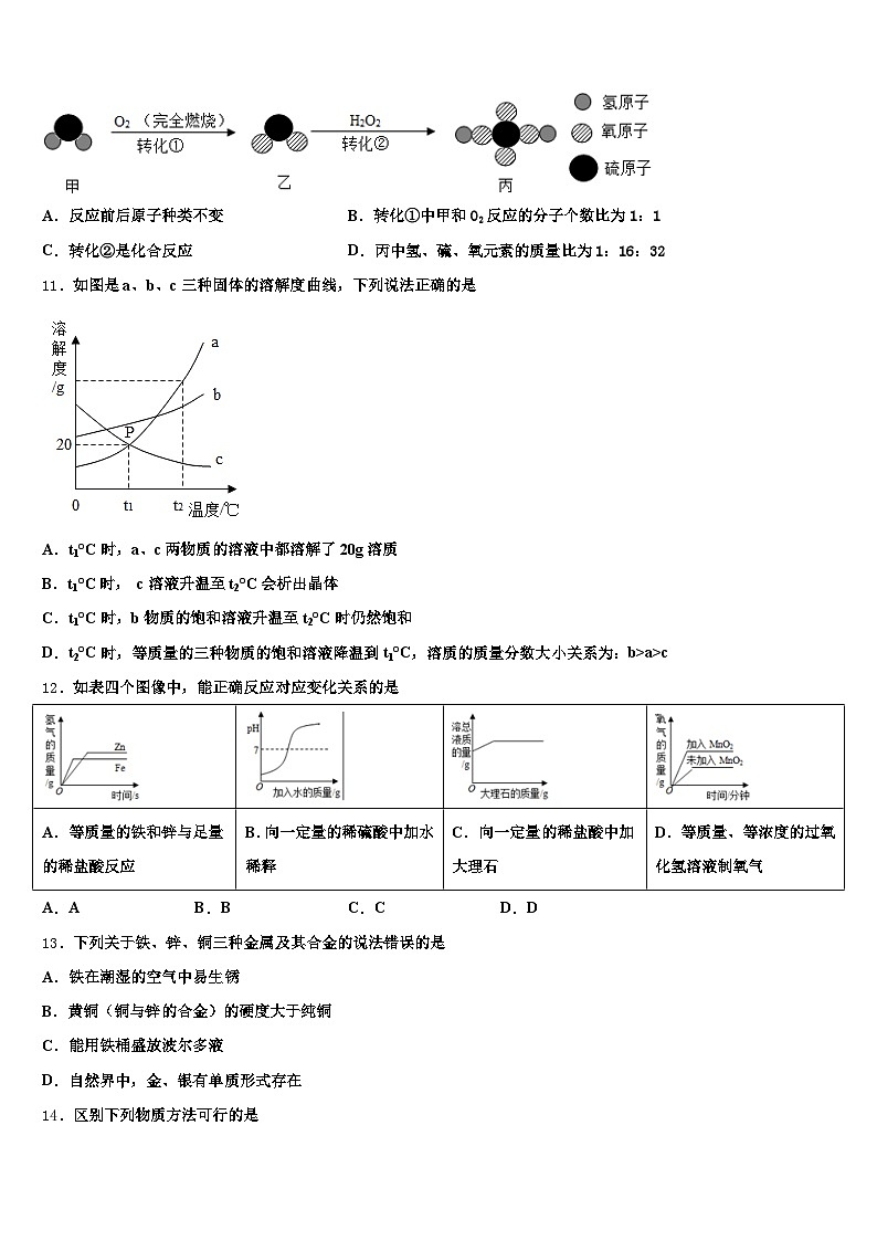 2026届陇南市中考化学最后冲刺浓缩精华卷（含答案解析）第3页