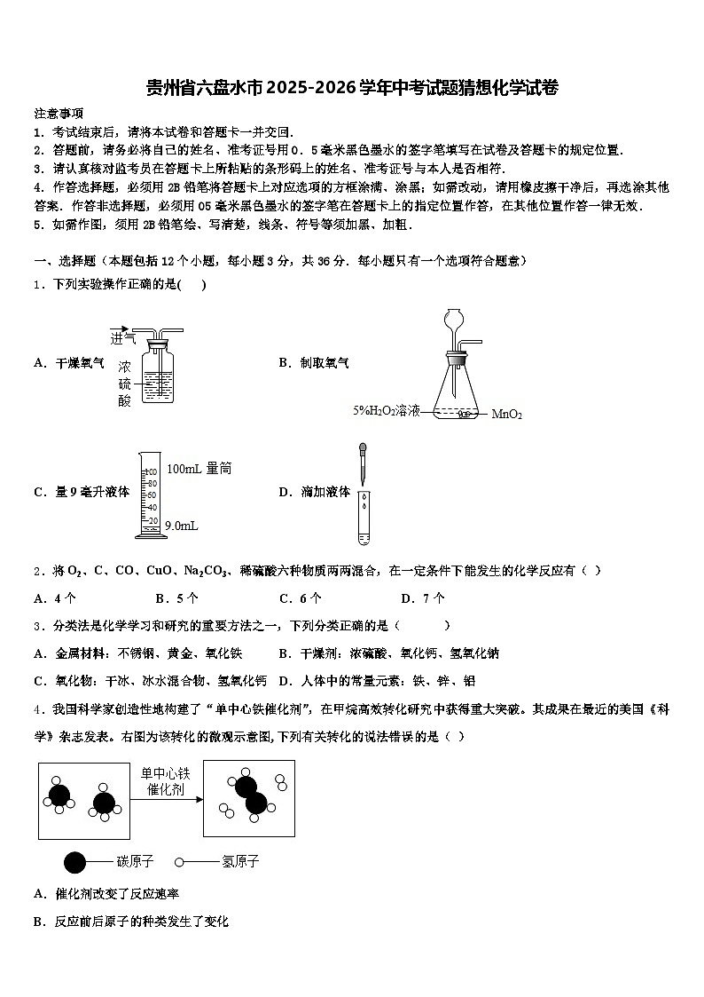 贵州省六盘水市2025-2026学年中考试题猜想化学试卷（含答案解析）第1页