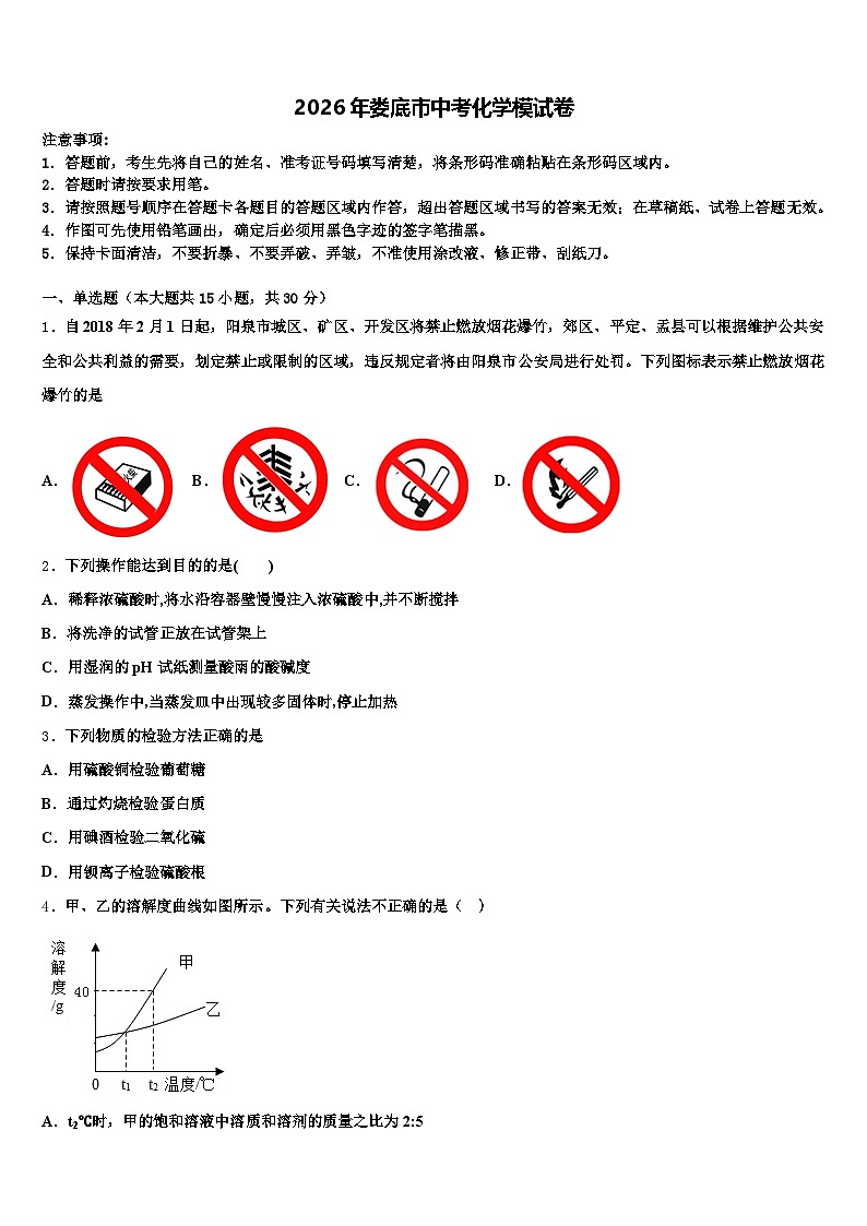 2026年娄底市中考化学模试卷（含答案解析）第1页