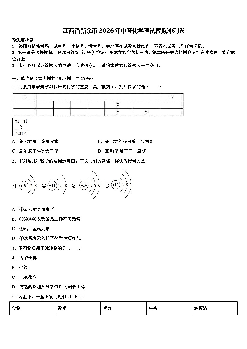 江西省新余市2026年中考化学考试模拟冲刺卷（含答案解析）第1页