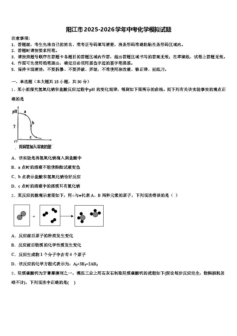 阳江市2025-2026学年中考化学模拟试题（含答案解析）第1页