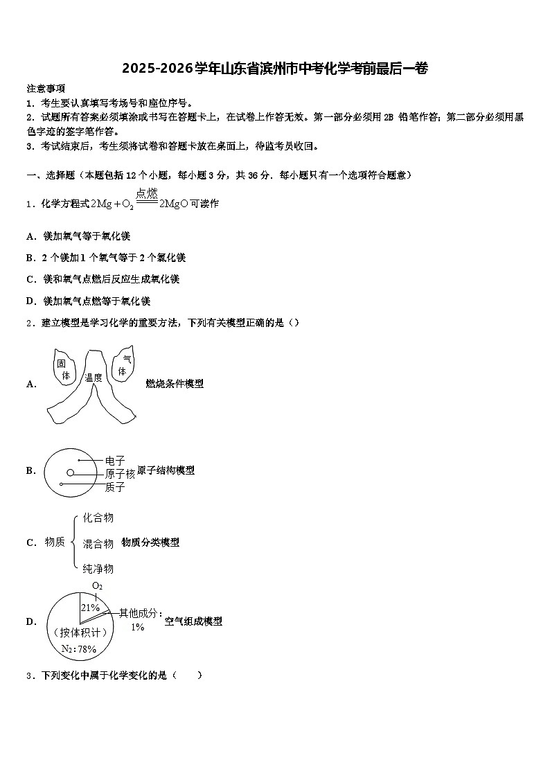 2025-2026学年山东省滨州市中考化学考前最后一卷（含答案解析）第1页