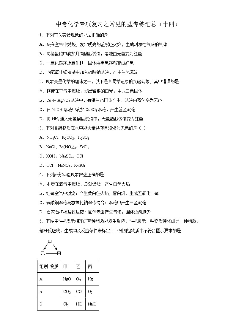 中考化学一轮复习专项巩固练习 常见的盐专练汇总（十四）（含答案解析）第1页