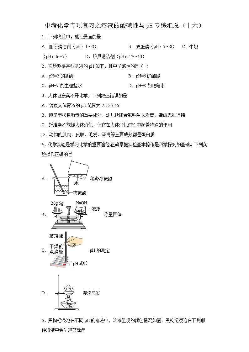 中考化学一轮复习专项巩固练习 溶液的酸碱性与pH专练汇总（十六）（含答案解析）第1页