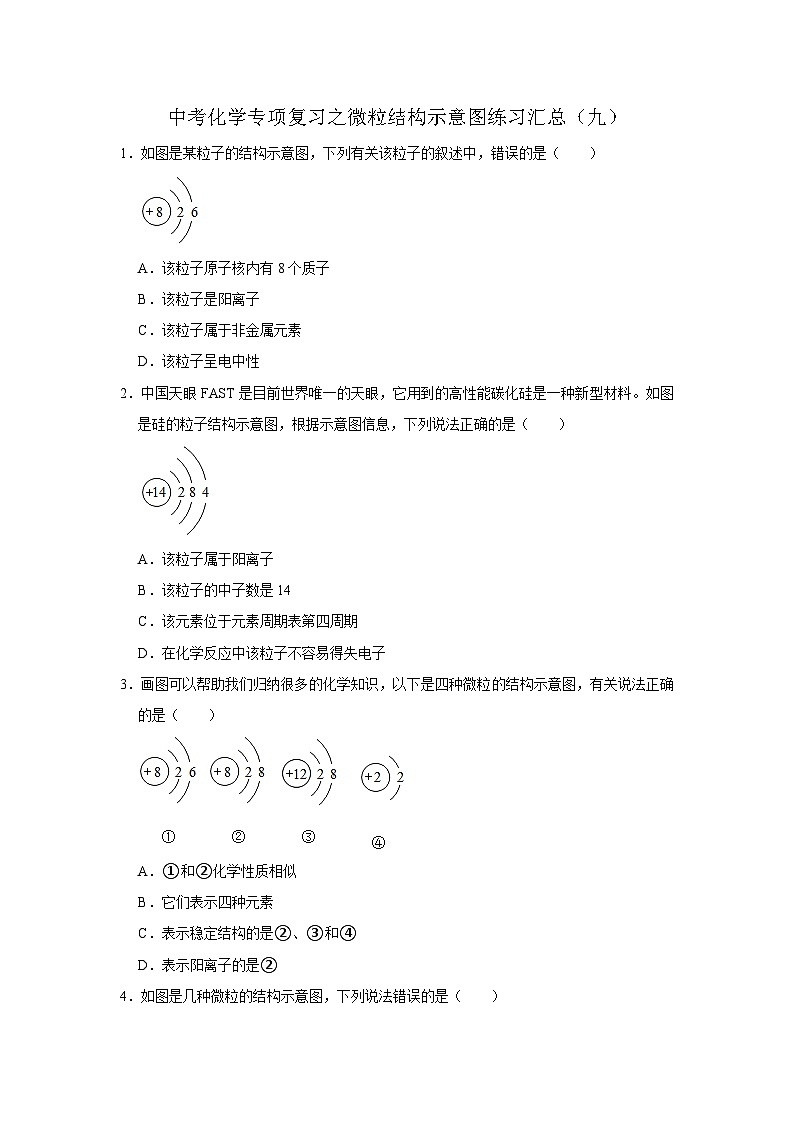 中考化学一轮复习专项巩固练习 微粒结构示意图练习汇总（九）（含答案解析）第1页