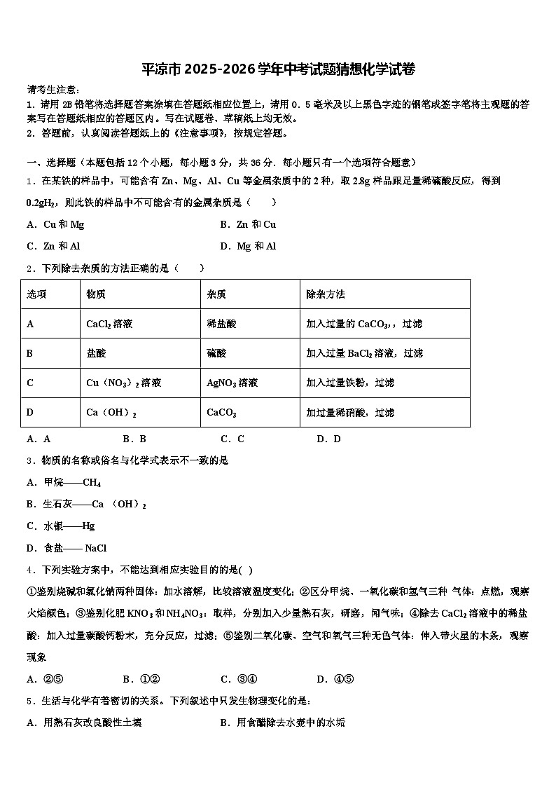 平凉市2025-2026学年中考试题猜想化学试卷（含答案解析）第1页