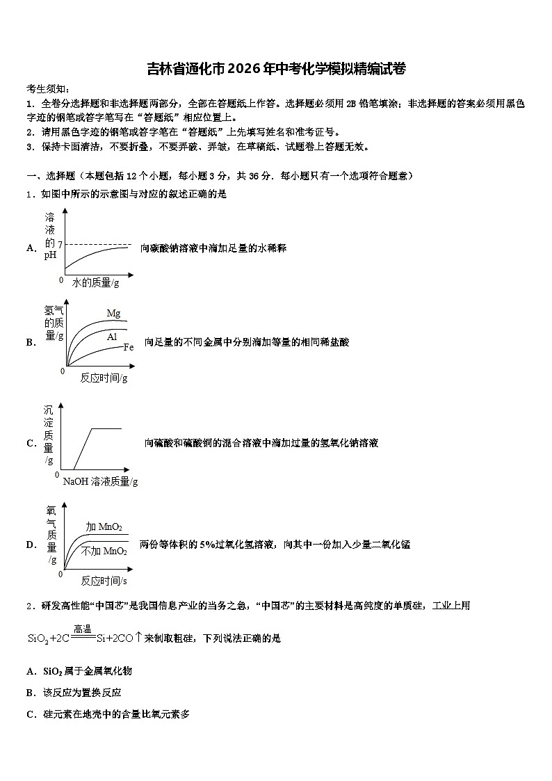 吉林省通化市2026年中考化学模拟精编试卷（含答案解析）第1页
