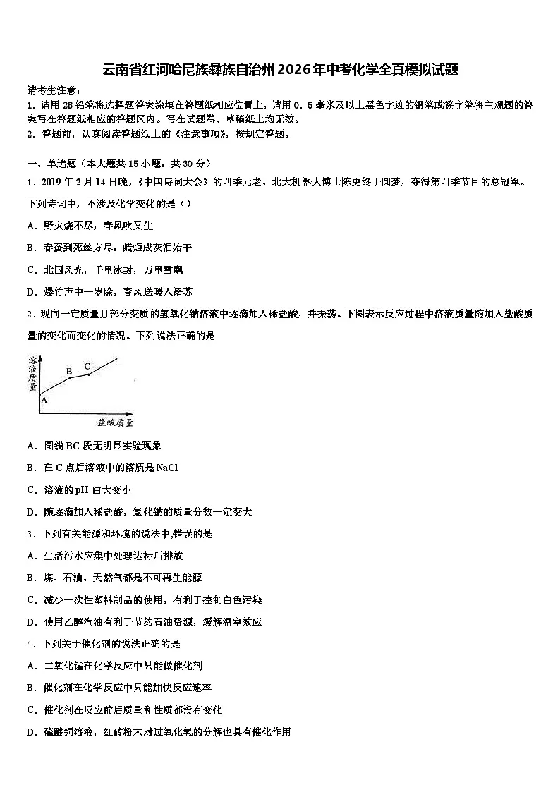 云南省红河哈尼族彝族自治州2026年中考化学全真模拟试题（含答案解析）第1页