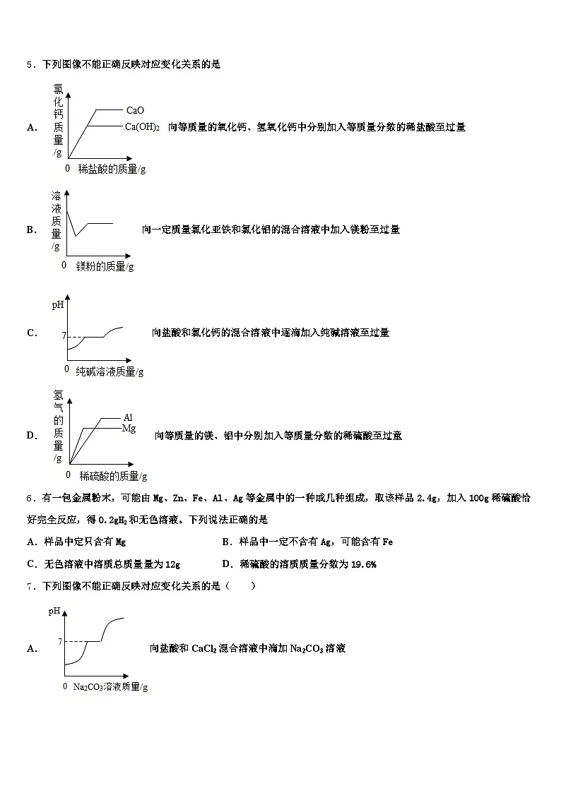 云南省红河哈尼族彝族自治州2026年中考化学全真模拟试题（含答案解析）第2页