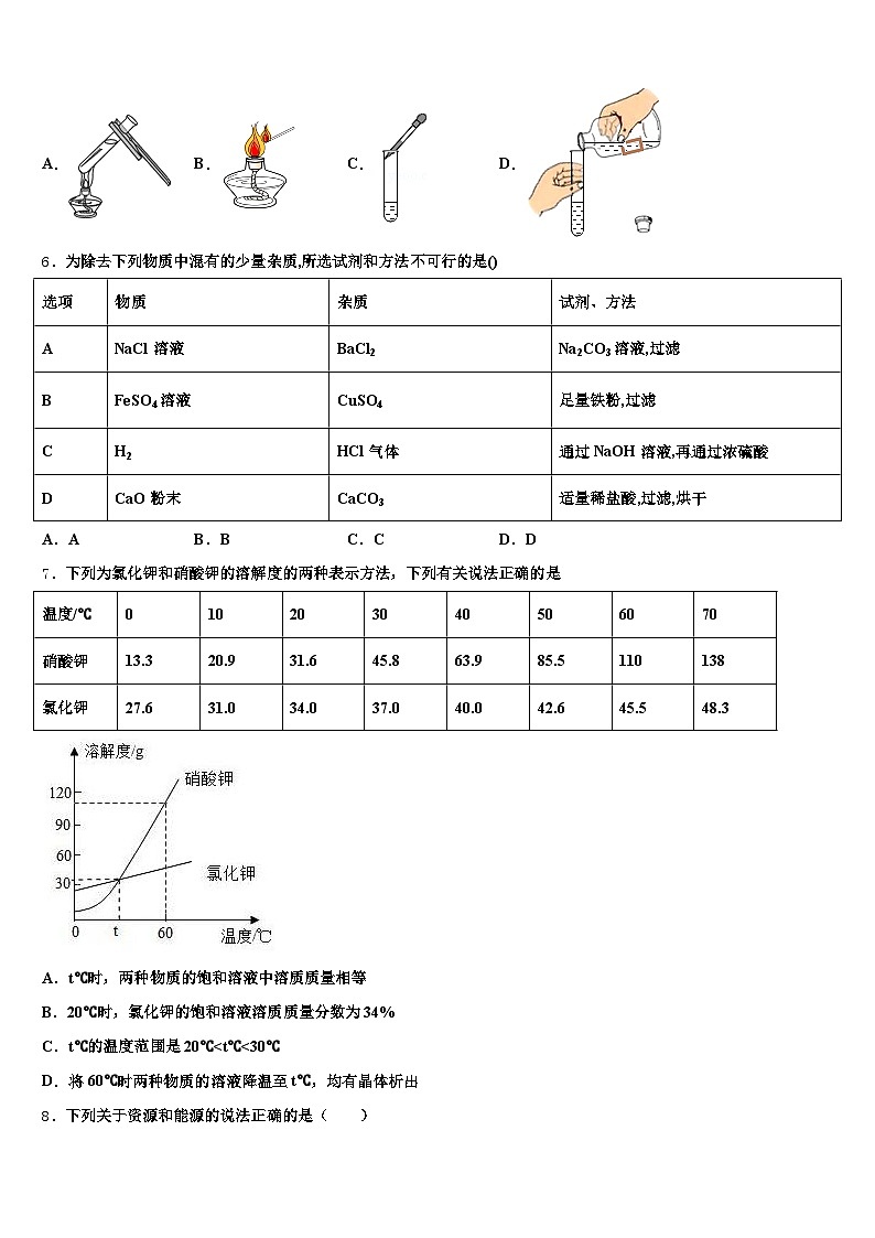 山东省枣庄市2025-2026学年中考化学模拟预测题（含答案解析）第2页