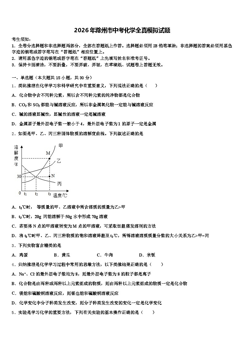 2026年滁州市中考化学全真模拟试题（含答案解析）第1页