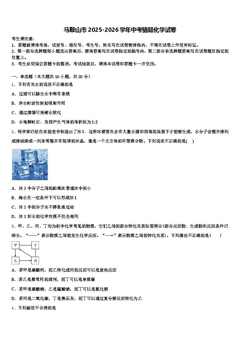 马鞍山市2025-2026学年中考猜题化学试卷（含答案解析）第1页