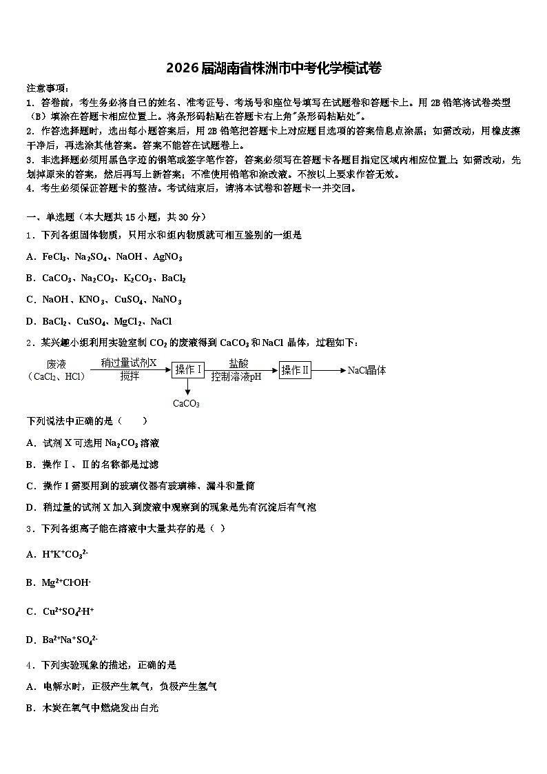 2026届湖南省株洲市中考化学模试卷（含答案解析）第1页