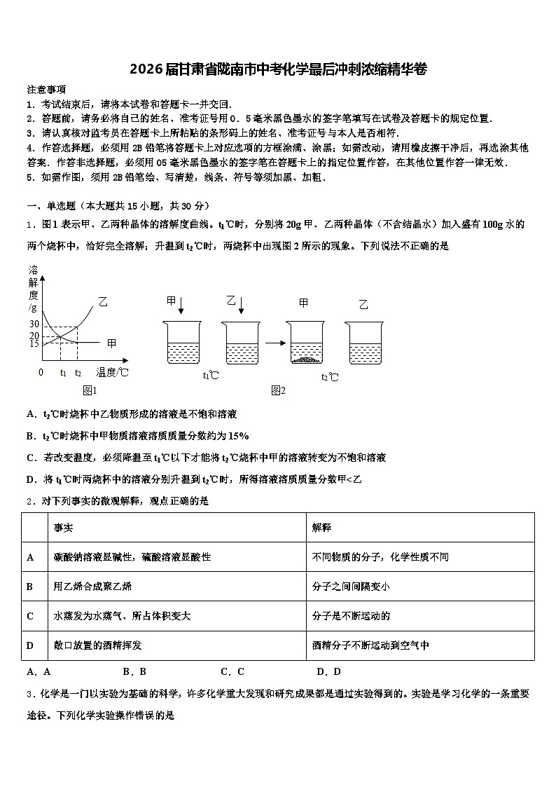 2026届甘肃省陇南市中考化学最后冲刺浓缩精华卷（含答案解析）第1页