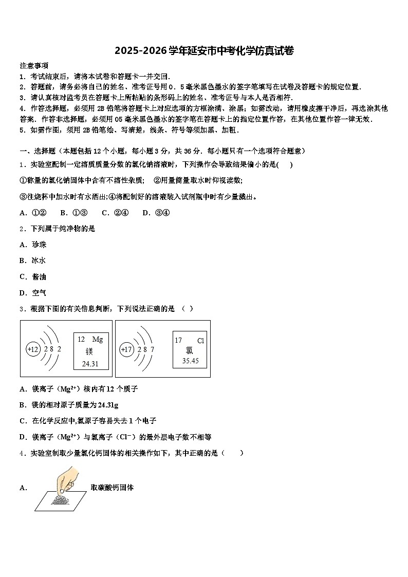 2025-2026学年延安市中考化学仿真试卷（含答案解析）第1页