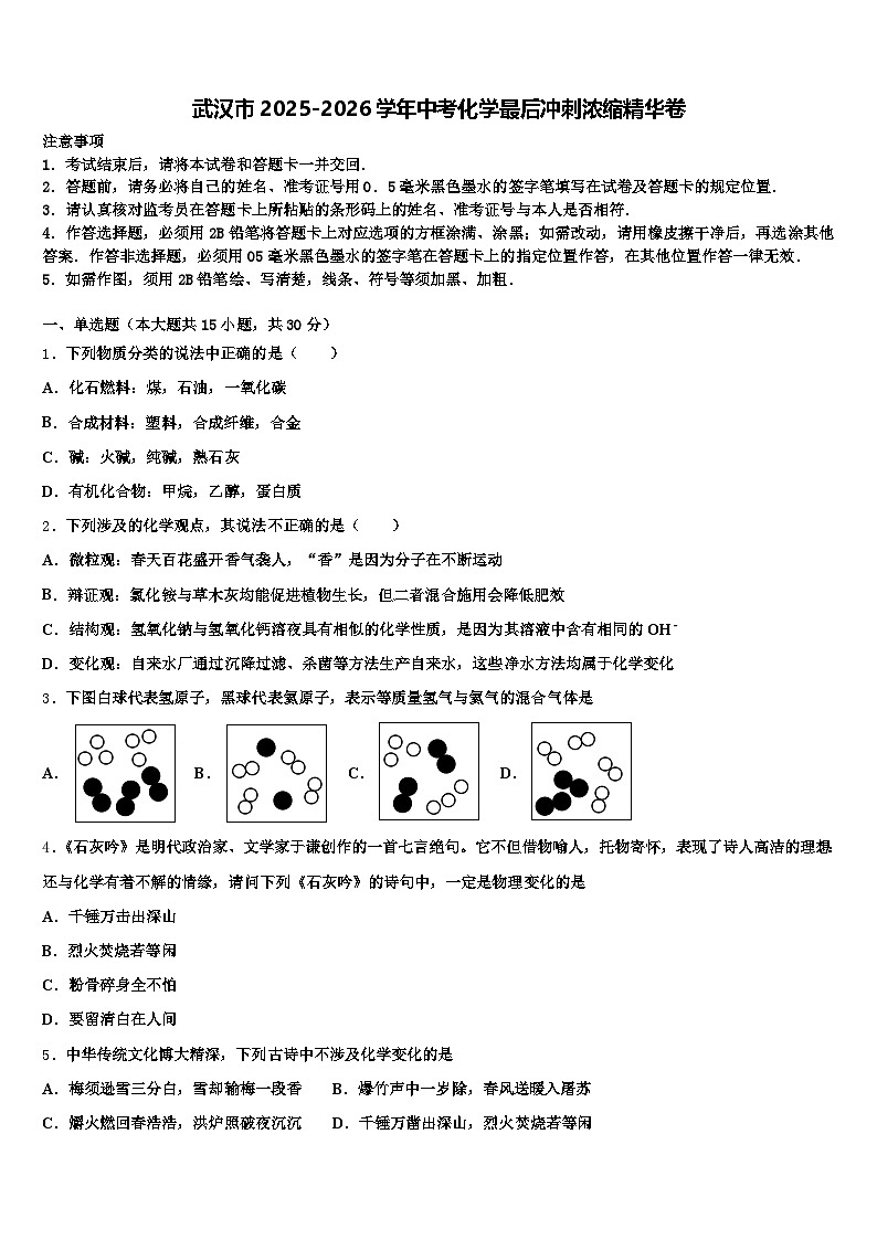 武汉市2025-2026学年中考化学最后冲刺浓缩精华卷（含答案解析）第1页