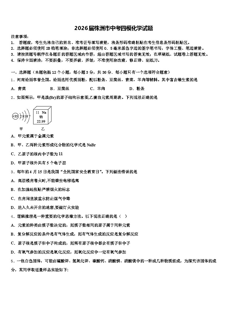 2026届株洲市中考四模化学试题（含答案解析）第1页
