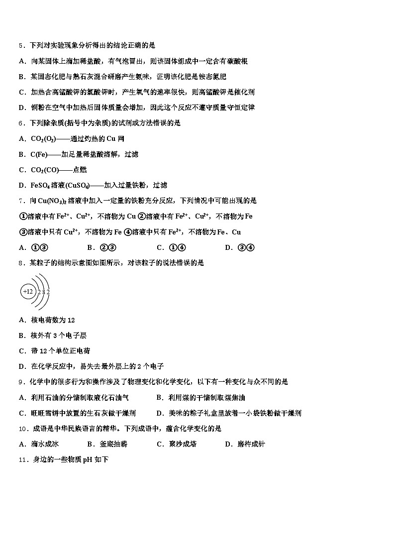 濮阳市2025-2026学年中考化学对点突破模拟试卷（含答案解析）第2页