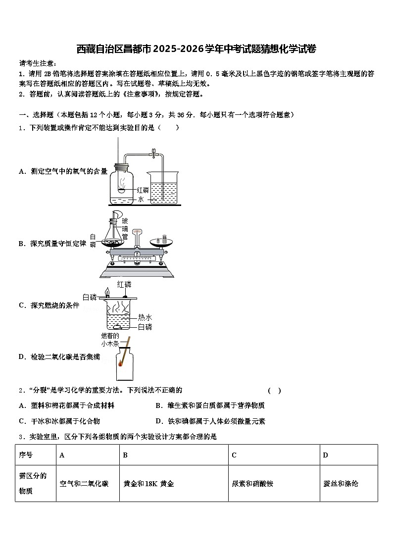 西藏自治区昌都市2025-2026学年中考试题猜想化学试卷（含答案解析）第1页
