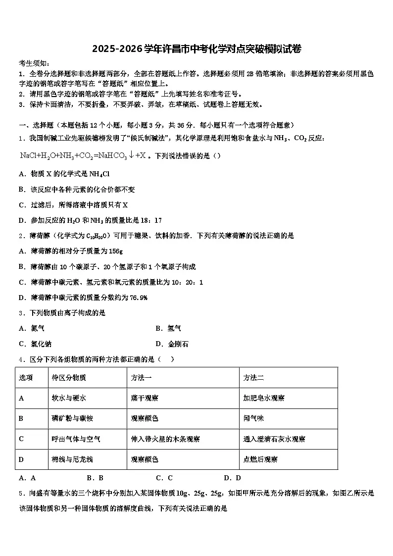2025-2026学年许昌市中考化学对点突破模拟试卷（含答案解析）第1页